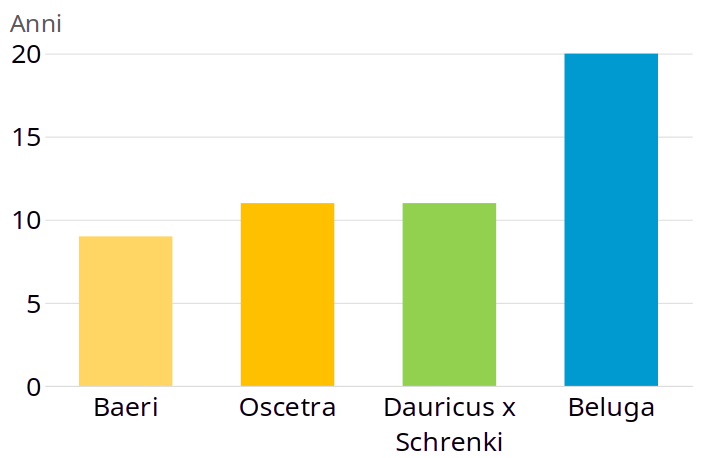 Tipologie di caviale 2 grafico caviale
